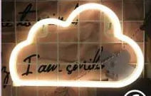 LED Neon Night Light