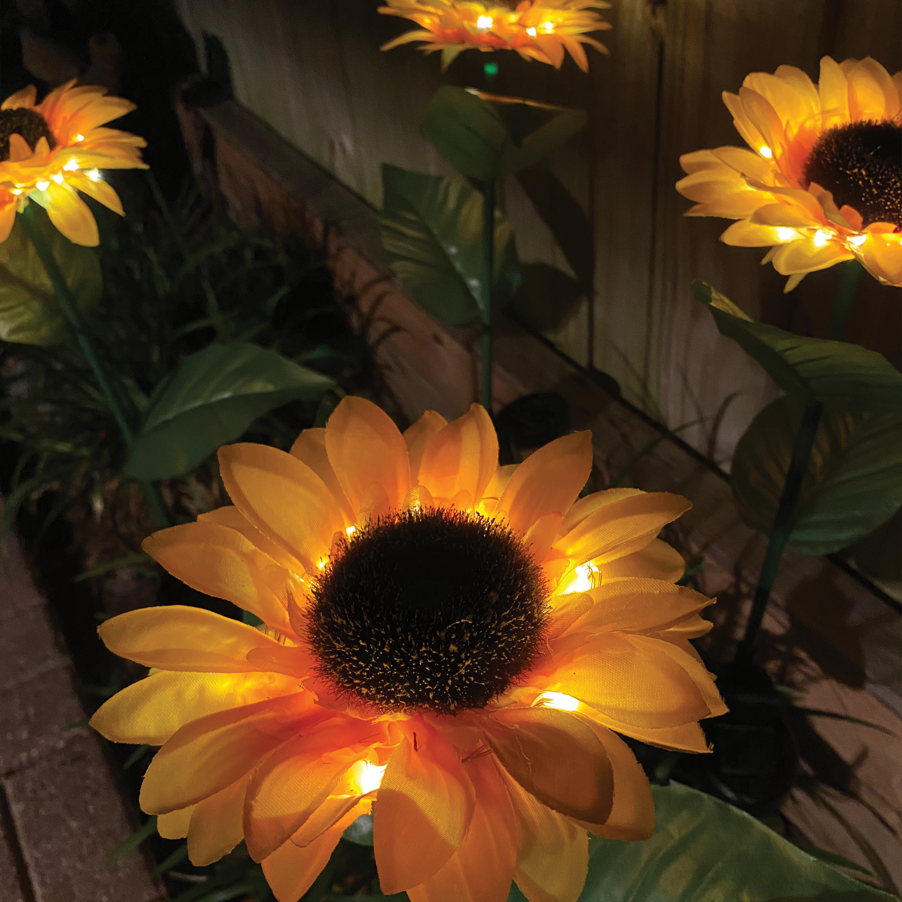 Elegant Solar-Powered Sunflowers Light Set