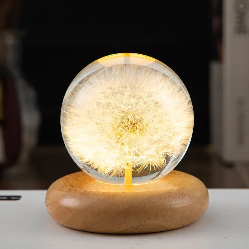 Bocona accent lamp